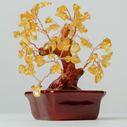 Árbol de la Vida de Ámbar